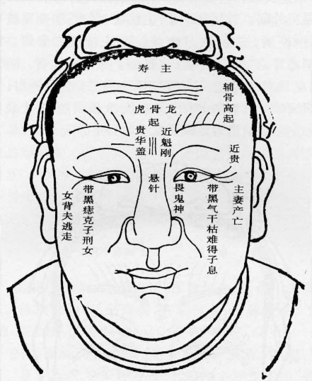 额头面相解说 额头纹所代表的含义